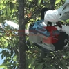 Makita DCS230T Benzinmotoros láncfűrész (1,0LE/25cm) + AJÁNDÉK