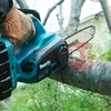 Makita DUC252Z Akkus láncfűrész (2x18V/25cm) - (akku és töltő nélkül) + AJÁNDÉK