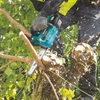 Makita DUC254CZ Akkus láncfűrész (18V/25cm) - (akku és töltő nélkül)