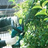 Makita DUH523Z Akkus sövényvágó 18V (akku és töltő nélkül)