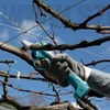 Makita DUP180Z Akkus metszőolló 18V (akku és töltő nélkül) + AJÁNDÉK