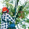 MAKITA EY2650H25H munka közben