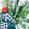 MAKITA EY2650H25H munka közben