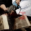Makita JR3070CT orrfűrész (1510W) + AJÁNDÉK