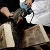 Makita JR3070CT orrfűrész (1510W) + AJÁNDÉK
