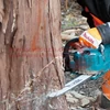 Makita UC004GM101 Akkus láncfűrész 40V MAX XGT 350mm/4.0Ah + AJÁNDÉK