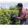 Makita UH6570 Elektromos sövényvágó (550W/65cm) + AJÁNDÉK